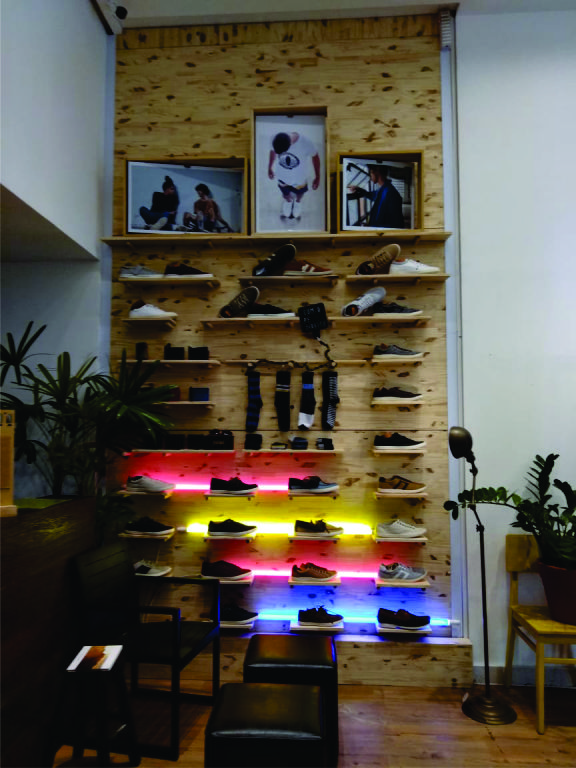 decoração de loja, com pinus e LEDS